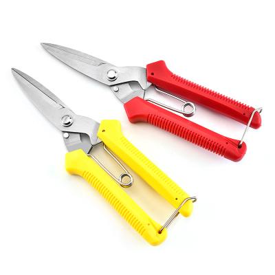 China Anti-Slip Handle Hand Pruner Shears Straight Blade Garden Scissors Gardening Trimmers Harvest Pruning Plants Trimming for sale