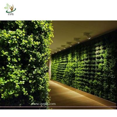 China UVG GRW020 Walls Decore Plastic Plant Green Wall Manufacturers garden decking for sale