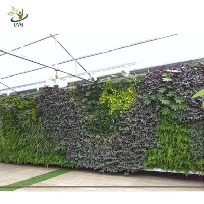 China UVG GRW022 Decorative Artificial Plants Garden Wall Decoration Festival landscaping for sale