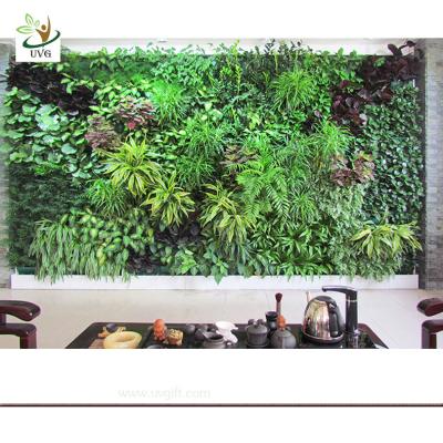 China UVG GRW027 Artificial Green Wall Lifelike Plastic Plants for indoor garden landscaping for sale