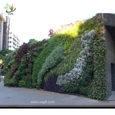 China UVG Green Vertical Wall Garden Fake Plastic Plants Grass walls for garden landscaping for sale