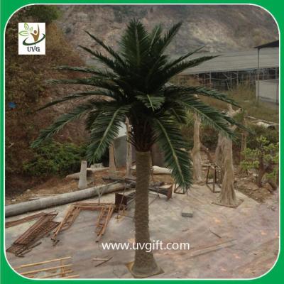 China UVG PTR029 5 meters fiberglass fake palm trees for outside amusement park decoration for sale