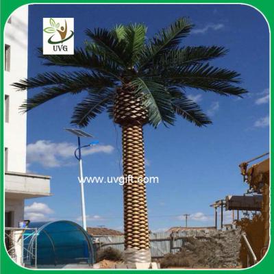 China UVG 5 meters huge outdoor palm tree artificial with fiberglass trunk for plaza landscaping for sale