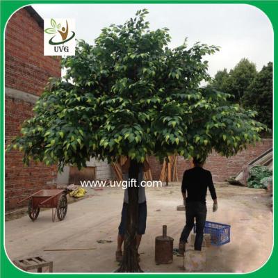 China UVG GRE045 ornamental green banyan tree artificial outdoor trees for office decoration for sale