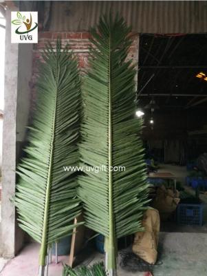 China UVG level 8 wind resistance outdoor ornamental artificial palm tree branches and leaves for theme park landscape PTR057 for sale