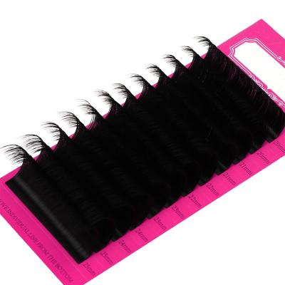 China Natural Long Eyelash Extensions 0.07 Private Label Volume Eyelash Extension Manufacturers for sale