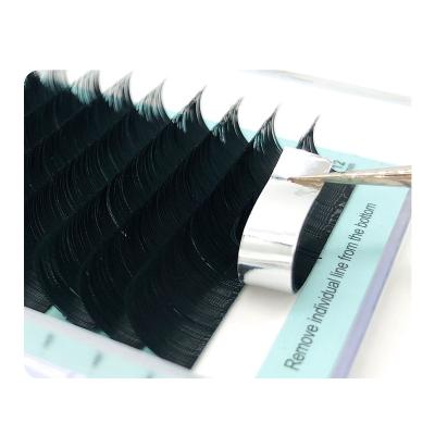 China QDALLBEST Natural Long Eyelashes Extension in Different Vietnam Thick Vegan Eyelash Extensions Fans for sale