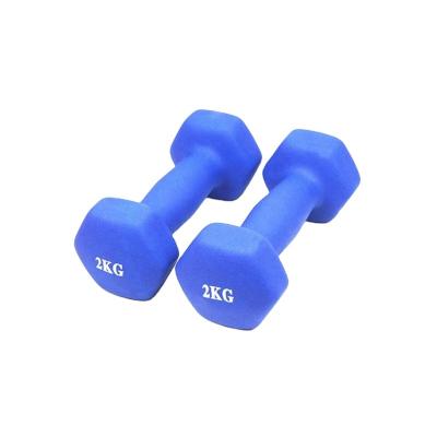 China New Home Fitness Eco - Friendly Gym Mini Grip Equipment Hex DumbbelI for sale