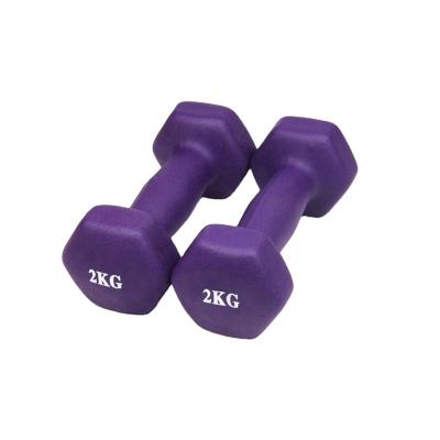 China Eco-friendly Home Gym Fitness Environmental Protection Dumbbell for sale