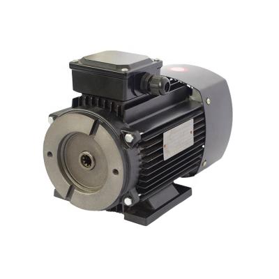 China VP Hydraulic Electric Motor 5Hp Single Phase Totally Enclosed Induction Motor for sale