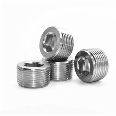 China Stainless Steel Plug 1/8