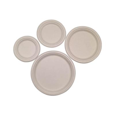 China 6 7 9 10 12.5 Inch Non-Toxic and Sanitary Round Food Container Sugarcane Bagasse Paper Biodegradable Disposable Dinner Dish for sale