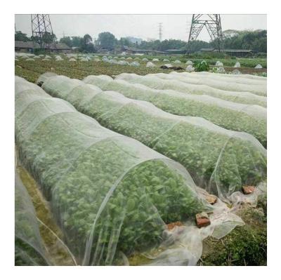 China Agricultural Factory Price Anti Insect Screen Greenhouse Plant Protect Insect Proof Mesh Netting THF210318-FCW09 for sale