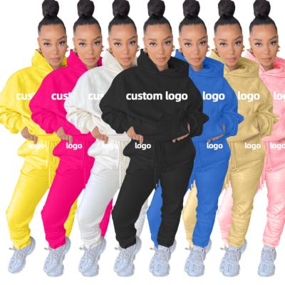 China Women's PC Anti-Static Tracker 2 Sets Sports Pullover Hoodies Jogging Sports Tracksuit Tracksuits Matching Outfits Two Piece Set With Fur Inside for sale