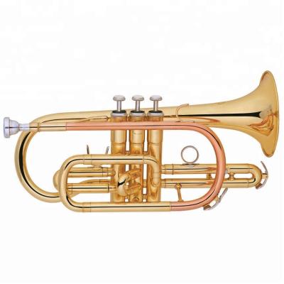 China Professional Gold Lacquer High Grade Cornet Cornet Brass Instrument for sale