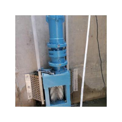 China Sewage Disposal Double Drum Sewage Crusher For Sewage Pumping Station for sale