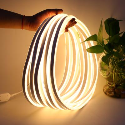 China AC220V-240V Warm White LANDSCAPE Lighting Double Sided LED Neon Light Strips Waterproof SMD 2835 Party Christmas Decoration for sale