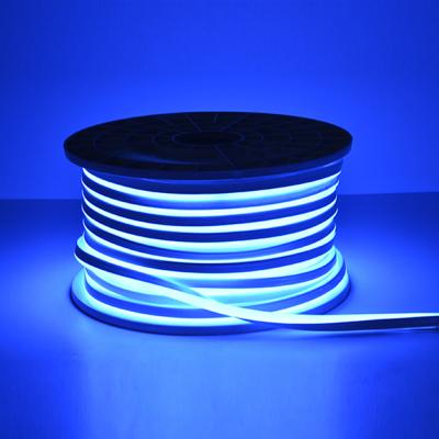 China DC 12V Blue Waterproof Flex Led Neon Light Strip 120Led/m LANDSCAPE Outdoor Christmas Decor Double Row LED Light Strips for sale