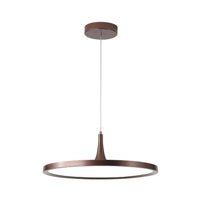 China Simple Modern Nordic Acrylic Ring Ceiling Led Chandelier Pendant Lamp Living Room Kitchen Lighting for sale