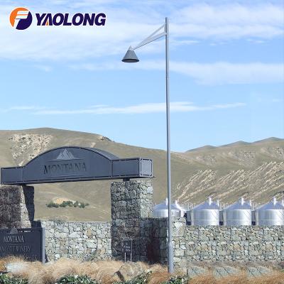 China Custom Garden/Street Yaolong Project Double Arm Stainless Steel Street Light Pole Aluminum Seamless Light Pole for sale