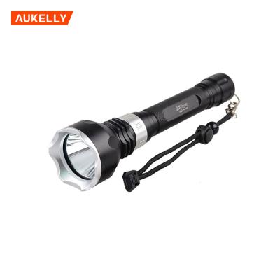 中国 Professional Aluminum Waterproof Portable Ultra Bright LED Torch Light Emergency Lantern 2000LM Underwater Diving Flashlights 販売のため