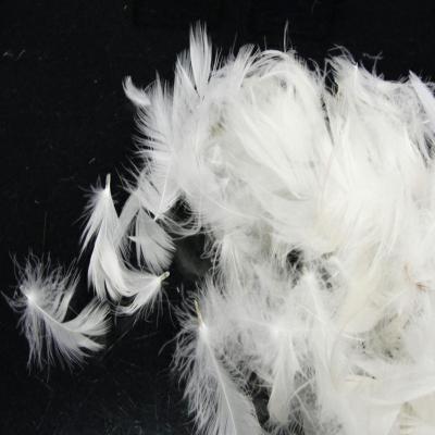 China Other 2-4CM Washed Gray Duck Down Standard Washed Feather IDFL Filling Material for sale