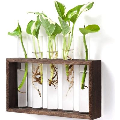 China Modern Flower Bud Plant Pastoral Glass Mini Greenhouse Planter Wall Hanging Vase in Wooden Stand Tabletop Mini Greenhouse for Propagation for sale