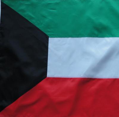 China 90X150cm Sewn 210D Nylon 3X5ft Kuwait Hanging Flag for sale