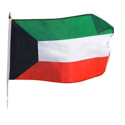 China Custom Printed Hanging Size 2x3ft 4x6ft 3x5ft Kuwait Different National Flag for sale