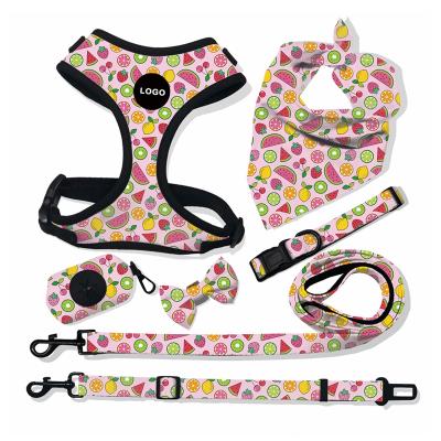 China Padded Popular Custom Design Dog Harness with Matching Collar Leash Bow Tie and Bandana Set for sale