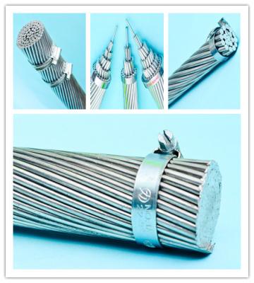 China 14 Gauge Galvanized Steel Wire Rope , High Strength Steel Cable Creep Resistance for sale