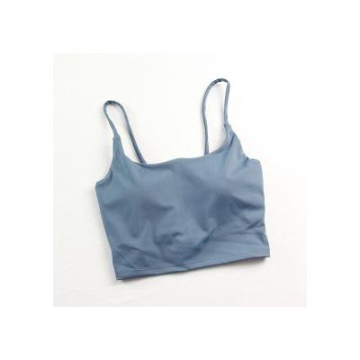 China Breathable Hot Cross Fitness Beauty Beauty Selling Yoga Bra Backless Blue Sports Bra for sale