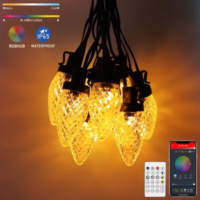 China Stander 5.0/4.2 Blue Patio Tooth Decor Strawberry String Lights APP Control RGB Outdoor Christmas Lights 16.4Ft 25 LED Commercial Grade C9 Christmas Lights for sale