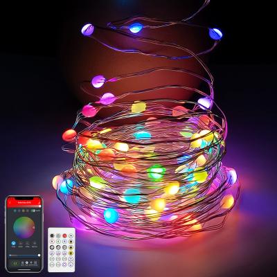 China Blue Tooth Stander 5.0/4.2 33Ft 66 LED APP Control Dimmable Copper Wire Firefly Twinkling USB LED Fairy Lights String Lights Christmas Tree LED Lights String for sale