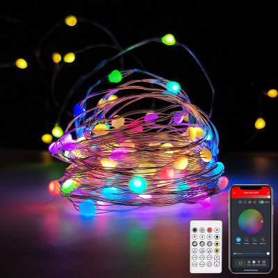 China BLE Stander 5.0/4.2 Twinkle Star 33Ft Twinkle Star 100LED Copper Wire LED String Lights Christmas USB Fairy Lights Wedding Decoration for sale