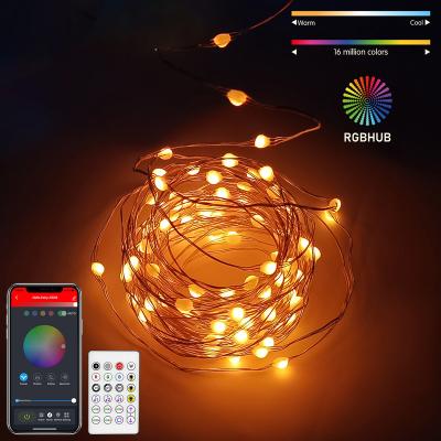 China Alexa 5M 50 LED Smart APP Control Wifi Christmas Tree Lights USB Powered LED Fairy Lights Christmas String Light for sale