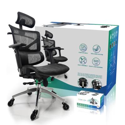 Cina (Size) Full Mesh Rotating Office Chair Mesh Adjustable Modern High Quality Ergonomic Staff Chair in vendita