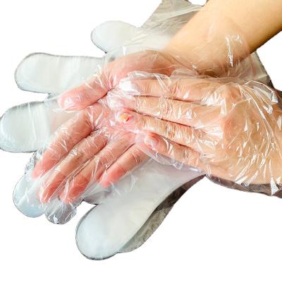 China Durable Clear Disposable Polyethylene Plastic Disposable PE Food Gloves Plastic Gloves for sale