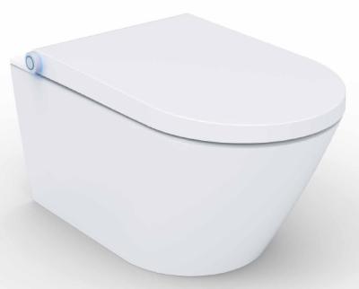 China Oceanwell Electronic Intelligent Shower Smart Bidets Toilet With Various Functions And Ceramic Bidet for sale