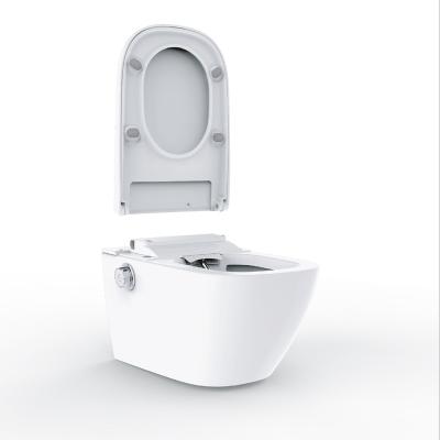 China Double-Flow Hotselling Oceanwell Smart Shower Toilet Seat With Ceramic Part for sale