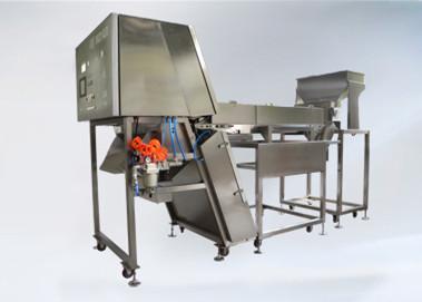 China 60ld2 Color Sorter Machine Belt Type For Sorting Carrots , Apple , Garlic Slice , Dried Onion for sale