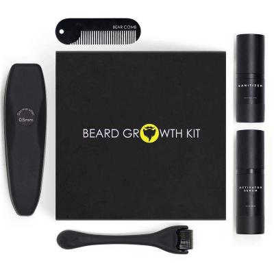 China Hot Selling Mens Beard Grooming Kit Private Label Mens Hair Serum Kit Beard Growth Moisturize for sale