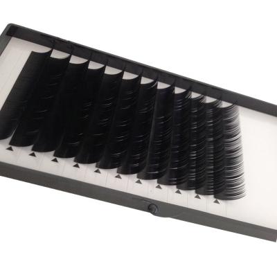 China Synthetic Hair Jeule Las Extension Supplies Individual Lash Tray 25mm Cashmere Mink Lashextensions Matte Black Volume Eyelash Extension for sale