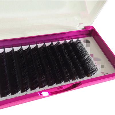 China Jeule 3d Pbt Synthetic Silk Natural Korean Ellipse Flat False Hair Wefts Set For Salon Professional Use Eyelash Extensions for sale