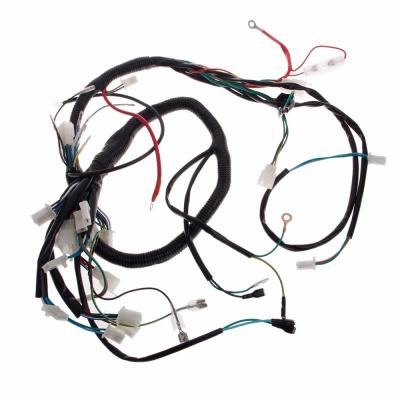 China 10-15 Days Lead Time Home Appliance Wiring Harness for Customized OEM Wire Harness for sale