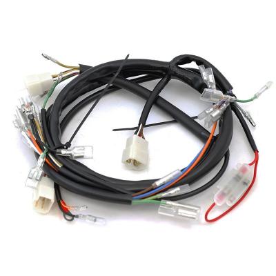 China Wiring Harness for EURO Market 10-15 Days Lead Time and Fast Delivery for sale