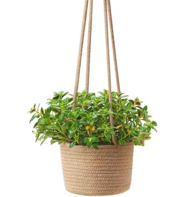 China Wall Hanging Basket Planters Woven Unique Multifunctional Hanging Multifunctional Hanging Basket for sale