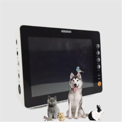 China Durable 8 Inch Vital Signs Monitor Dog Cat Sheep Excellent Quality Vital Signs Monitor for sale