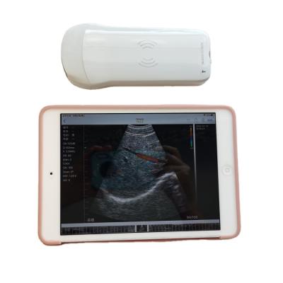 Chine GYN High Quality Portable Veterinary Fast Delivery 3d Daignosis Medical Horse Ultrasound Machine For Cow à vendre