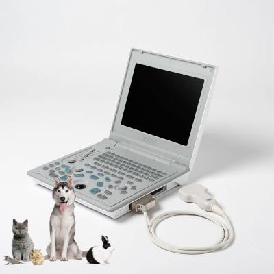 Cina Hospital Outside Diagnostic Linear Ultrasound Machine Dog Ultrasound Machine Laptop Cow Pregnancy Sheep Scanner in vendita